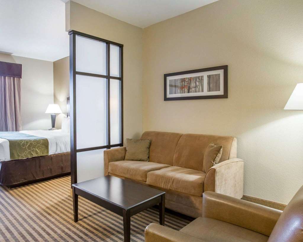 Comfort Suites Mcdonough Atlanta South Cameră foto